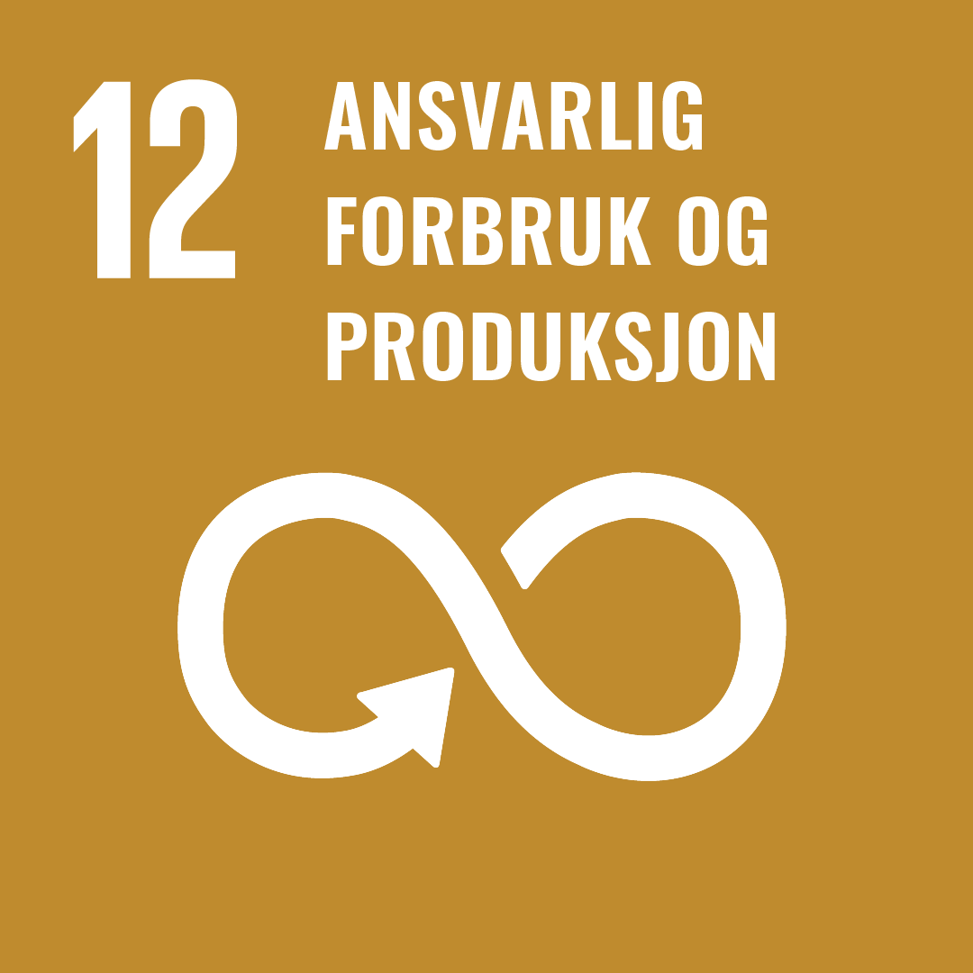FNs bærekraftsmålMål 12 RGB