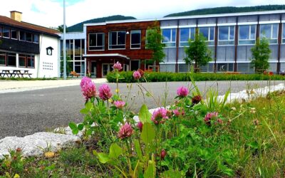 Høringsuttale til ny skolestruktur i Innlandet