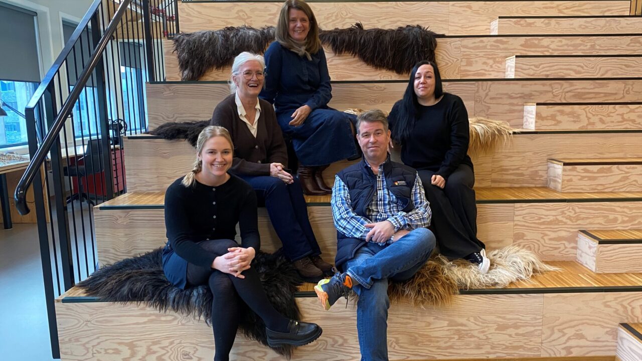 faglig-p-fyll-p-oppdal-midt-gudbrandsdal