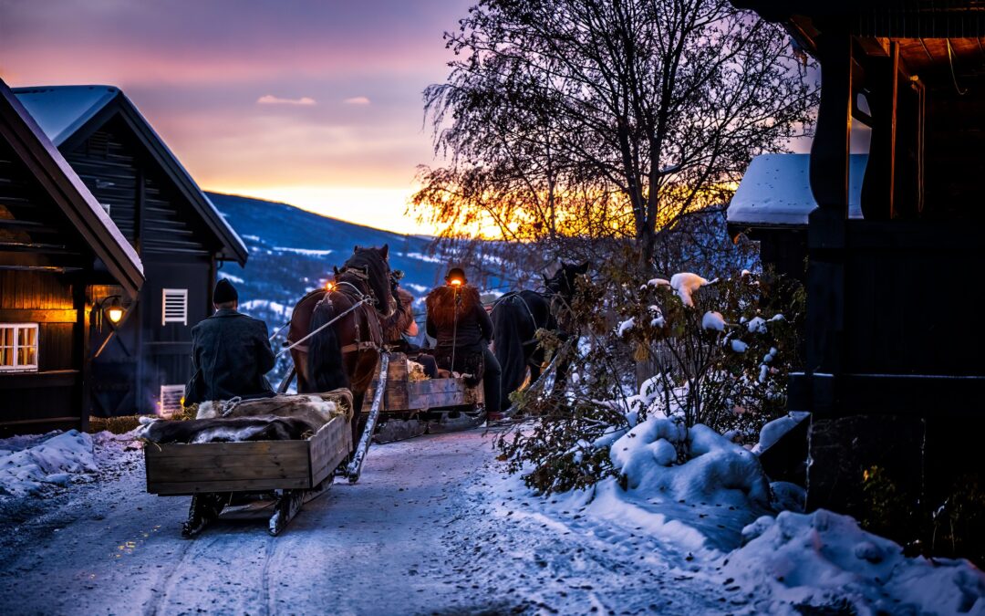 Julehilsen fra MGIPR