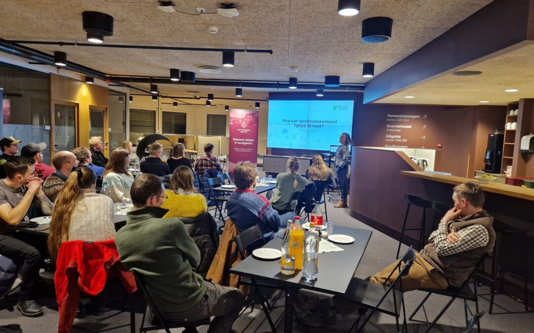 Pizzakveld for nye bønder